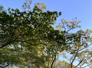 婚活でのお金の話2